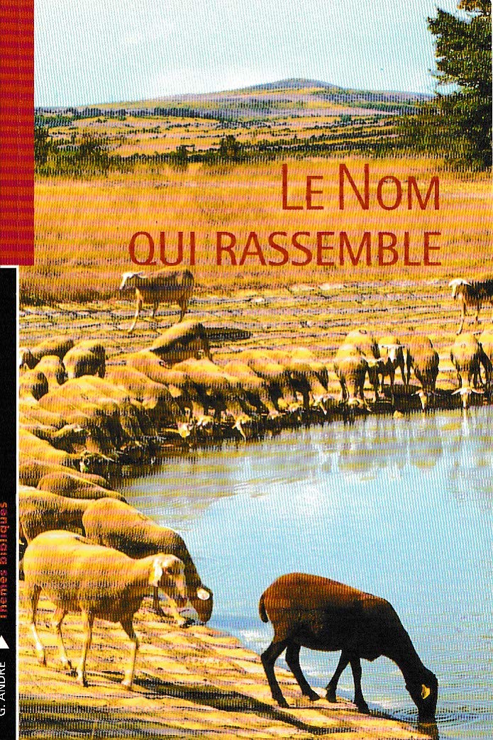 Le Nom qui rassemble (Pour les jeunes croyants) book