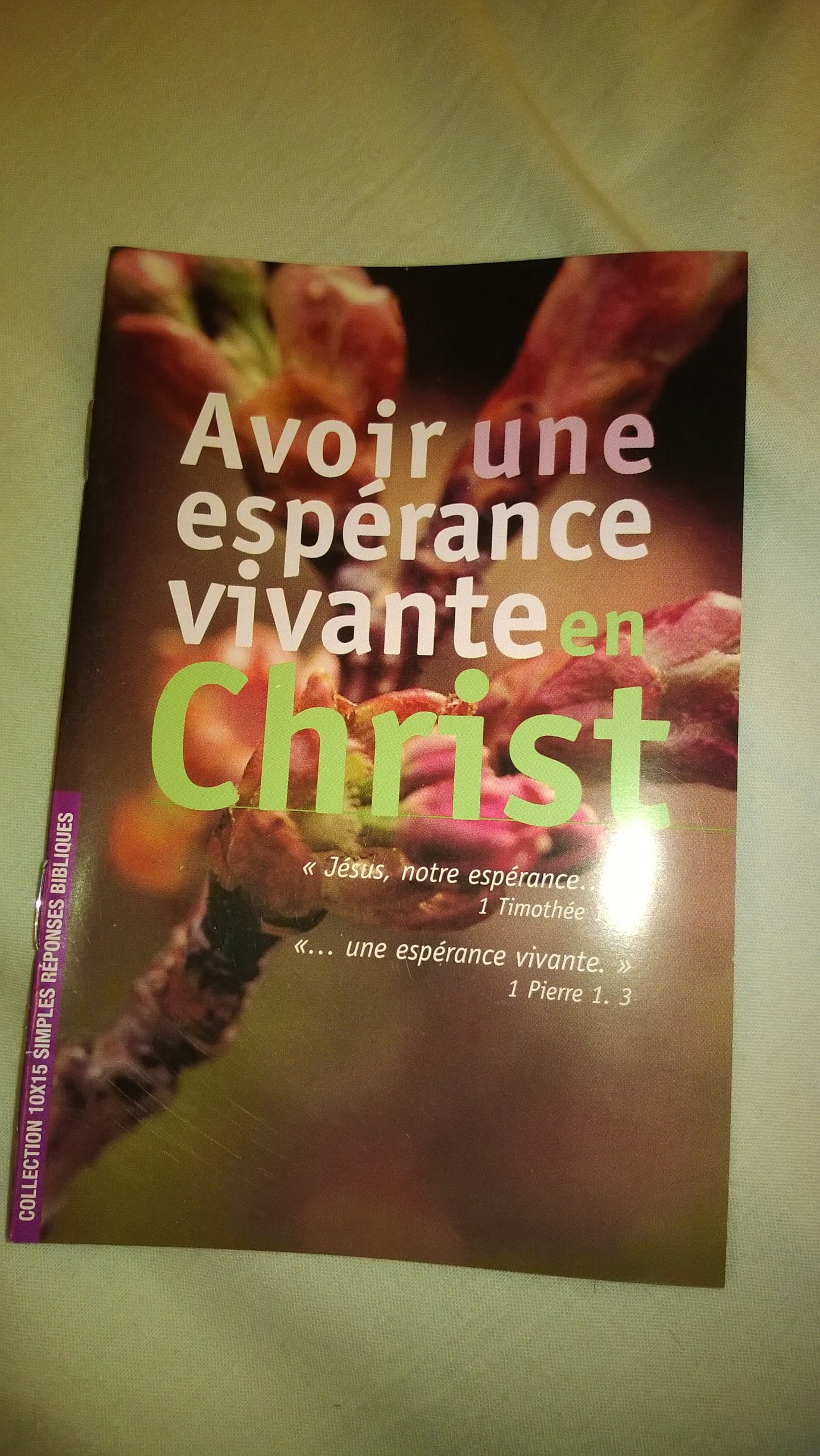 Avoir une espérance vivante en Christ (Collection 10 x 15 simples réponses bibliques) book