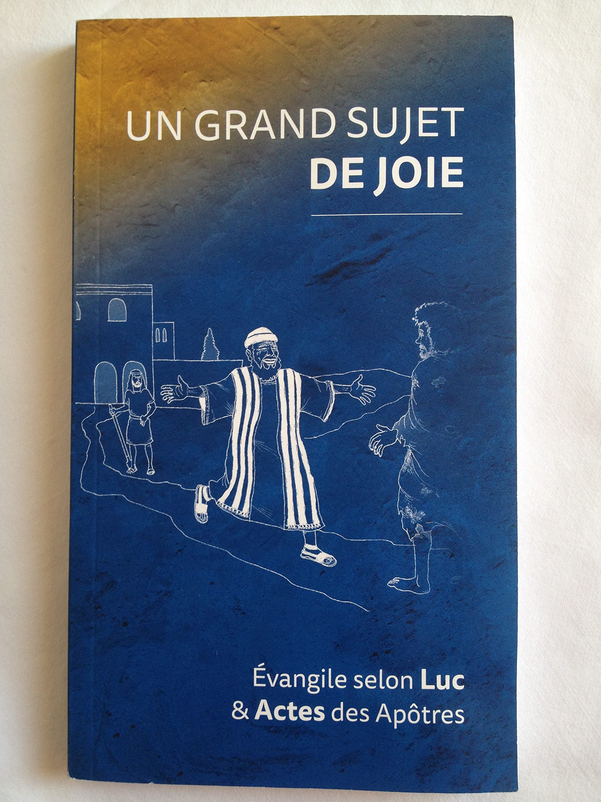 Un Grand Sujet de Joie. Évangile Selon Luc et Actes des Apôtres Books