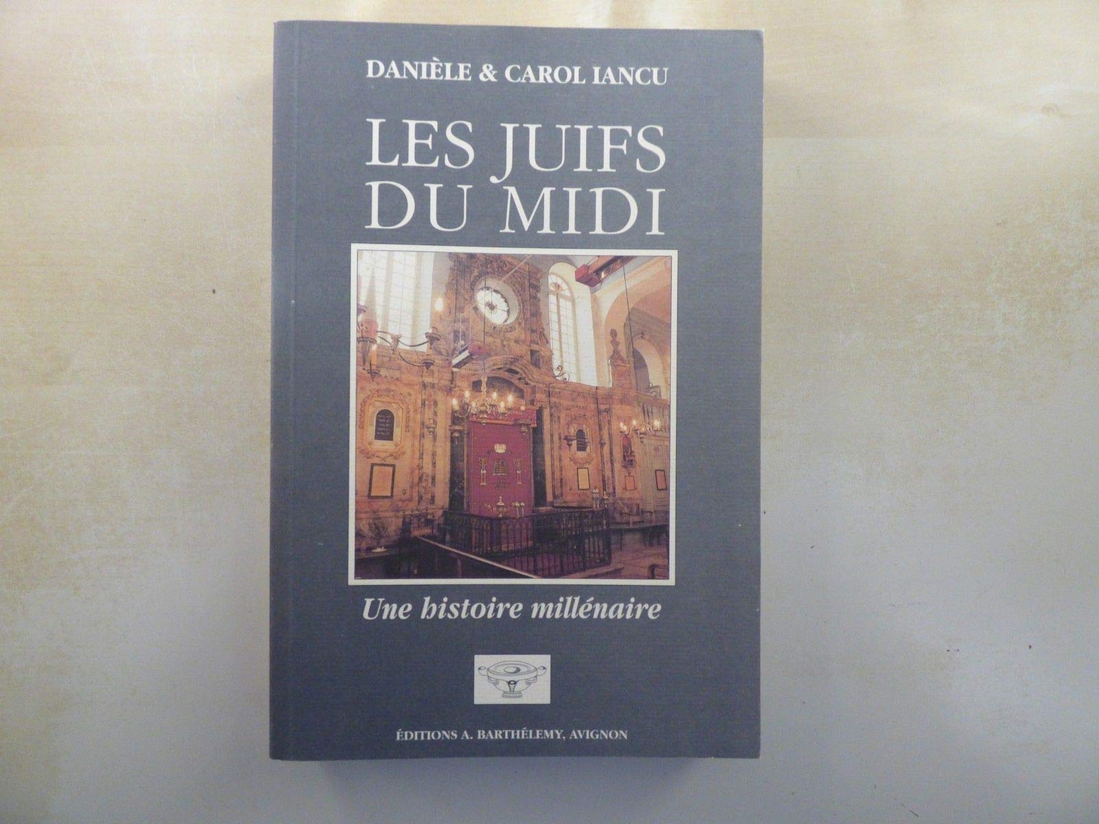 Les Juifs du Midi - Une histoire millénaire book
