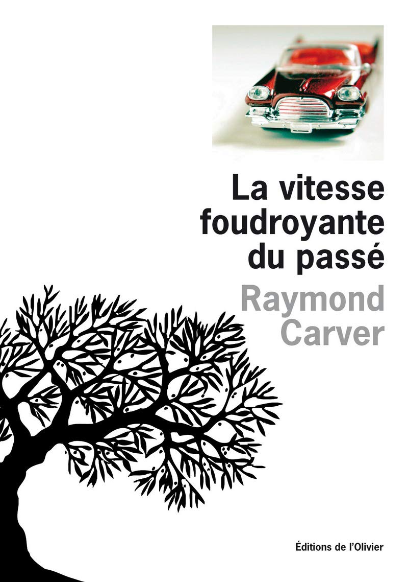 La Vitesse foudroyante du passé book
