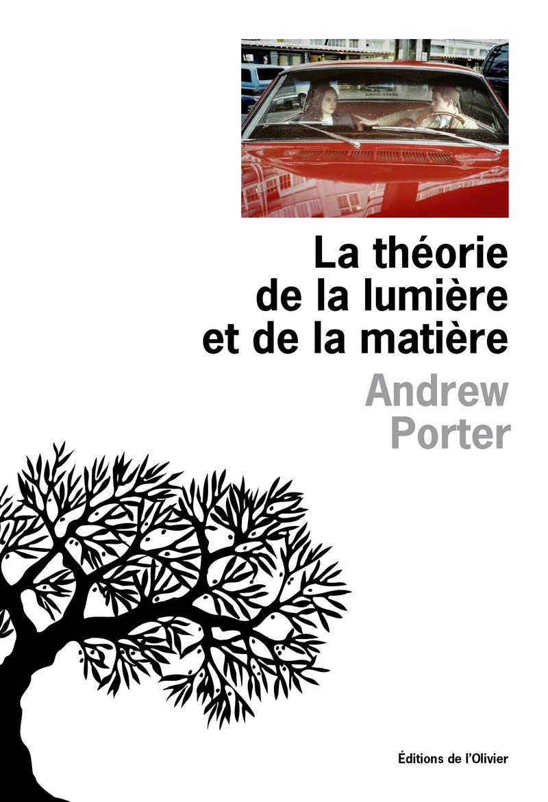 La théorie de la lumière et de la matière Contemporary literature
