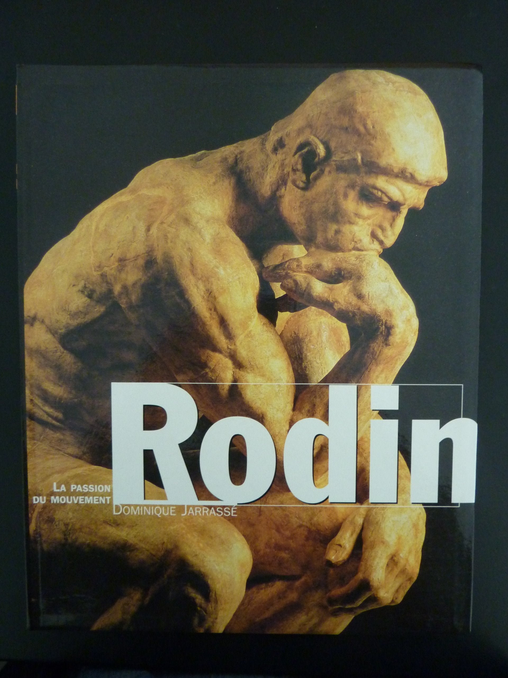 Rodin : La Passion du mouvement book