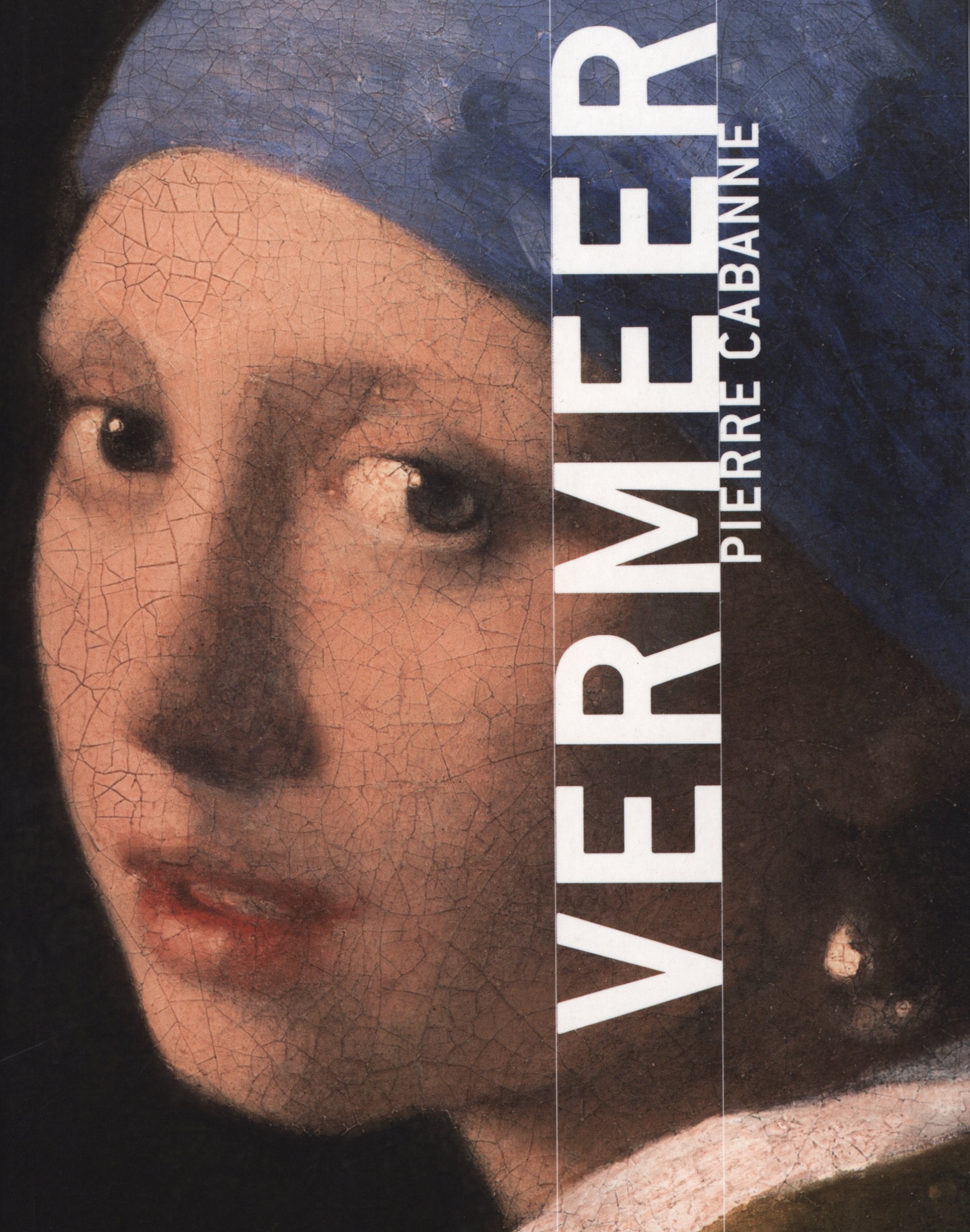 Vermeer : le peintre de la vie domestique book