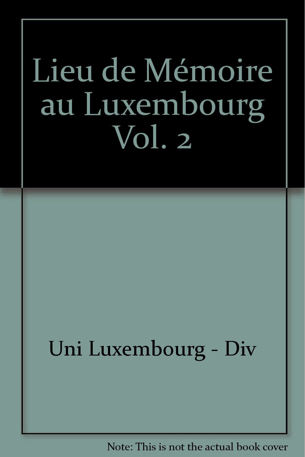 Lieu de memoire au luxembourg vol. 2 book