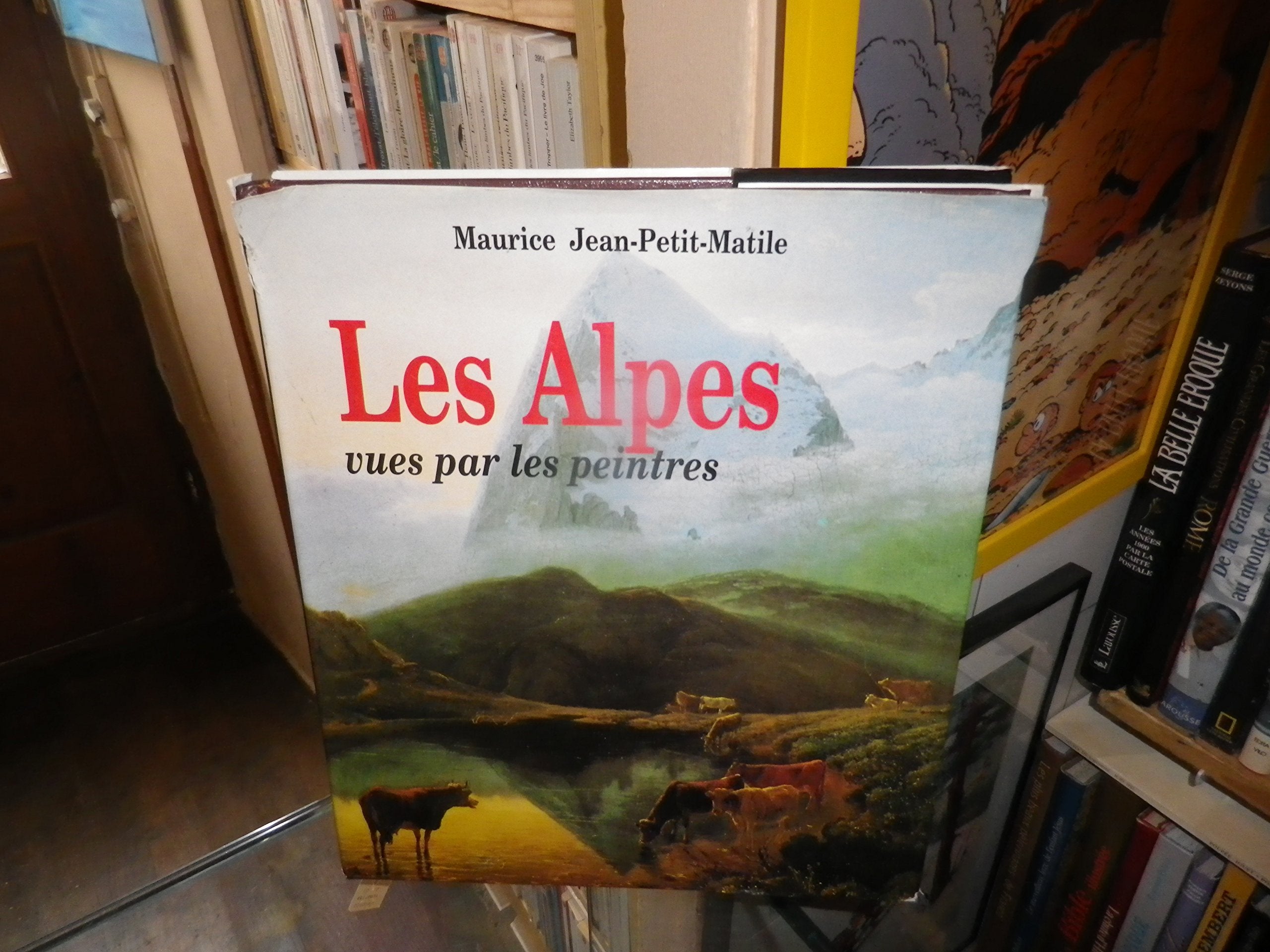 Les Alpes vues par les peintres book