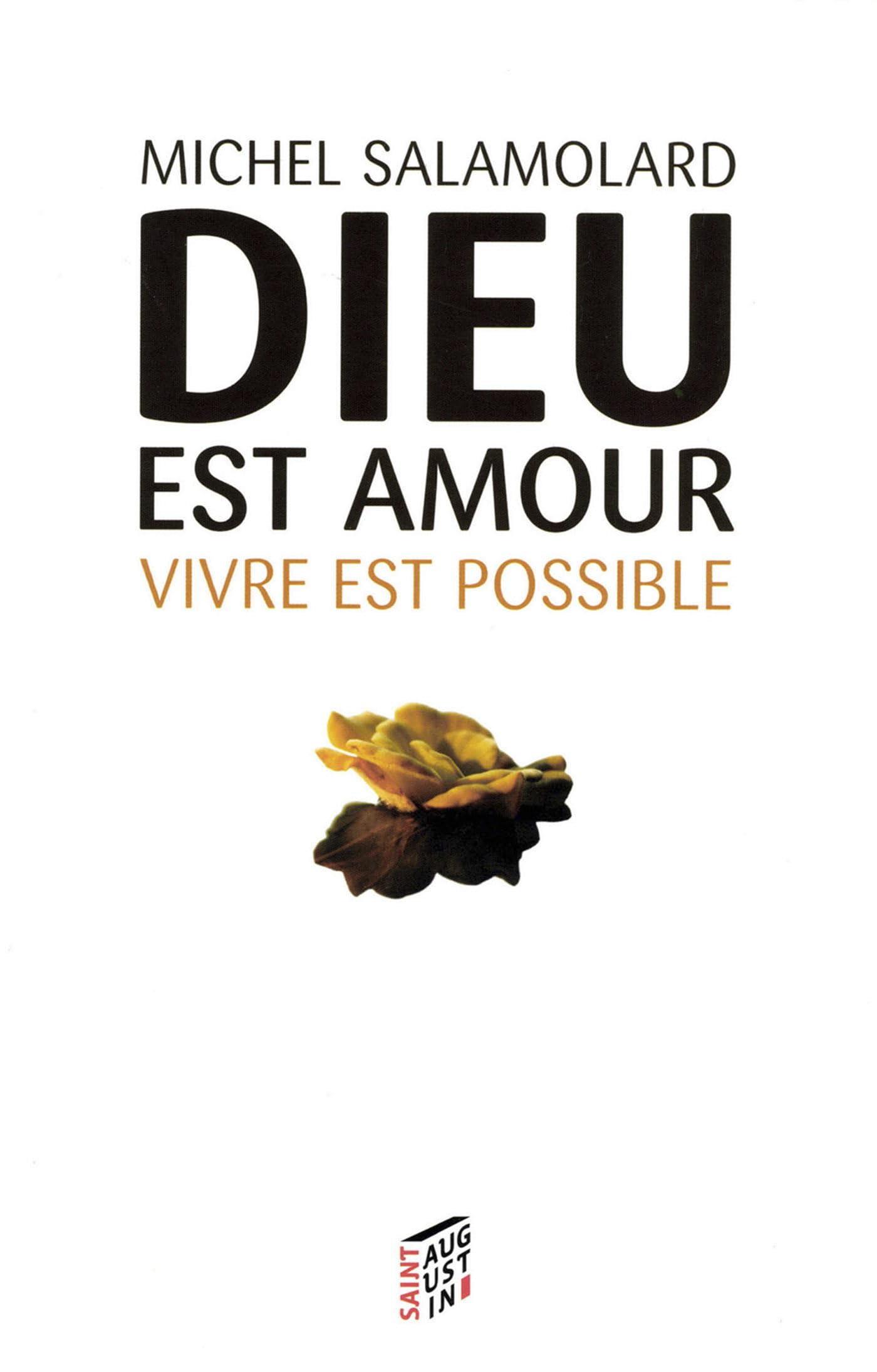 Dieu est amour vivre est possible: L'expérience chrétienne de la vie Religion & Esotericism