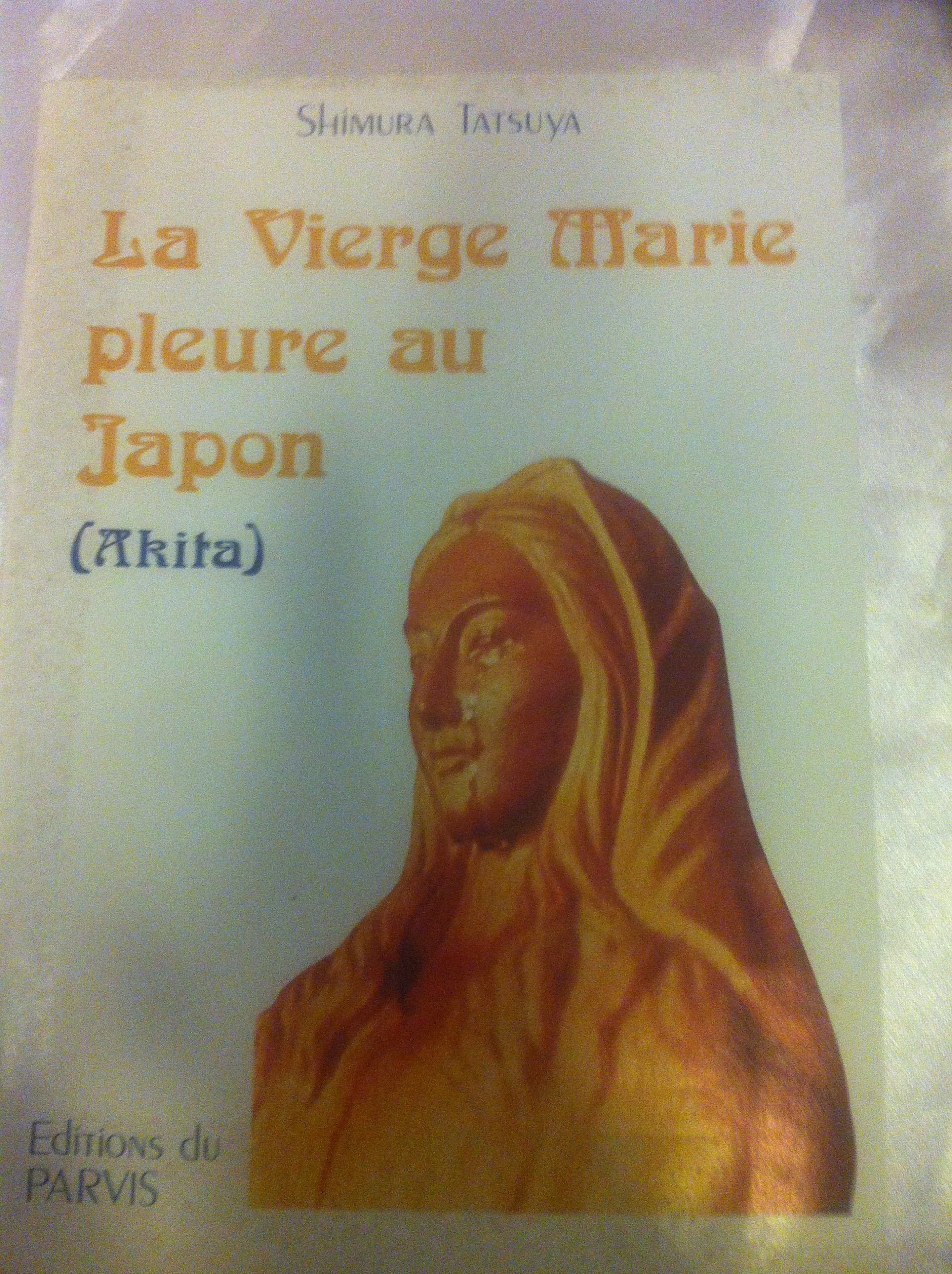 LA VIERGE MARIE PLEURE AU JAPON book