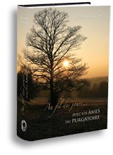 AU FIL DES JOURS... AVEC LES ÂMES DU PURGATOIRE book
