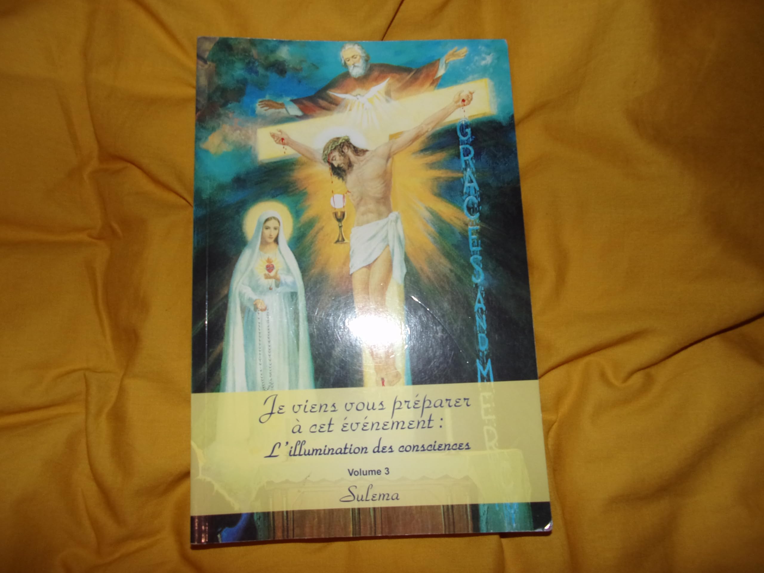 Je viens vous préparer à cet événement : l'illumination des consciences: Volume 3 book
