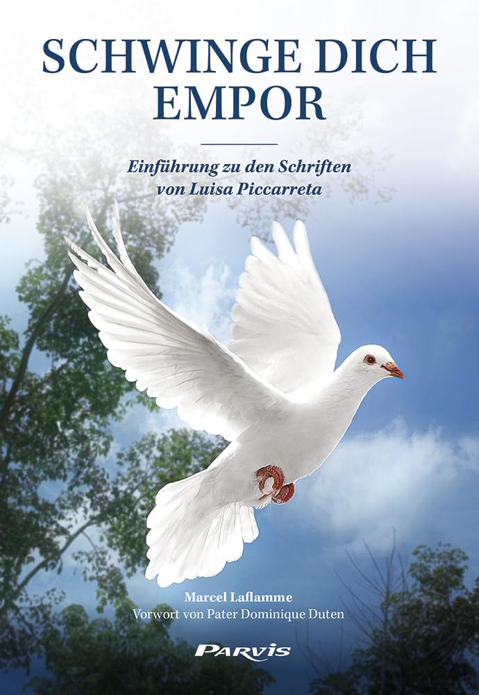 Schwinge dich empor: Einführungen zu den Schriften von Luisa Piccarreta Religion & Esotericism