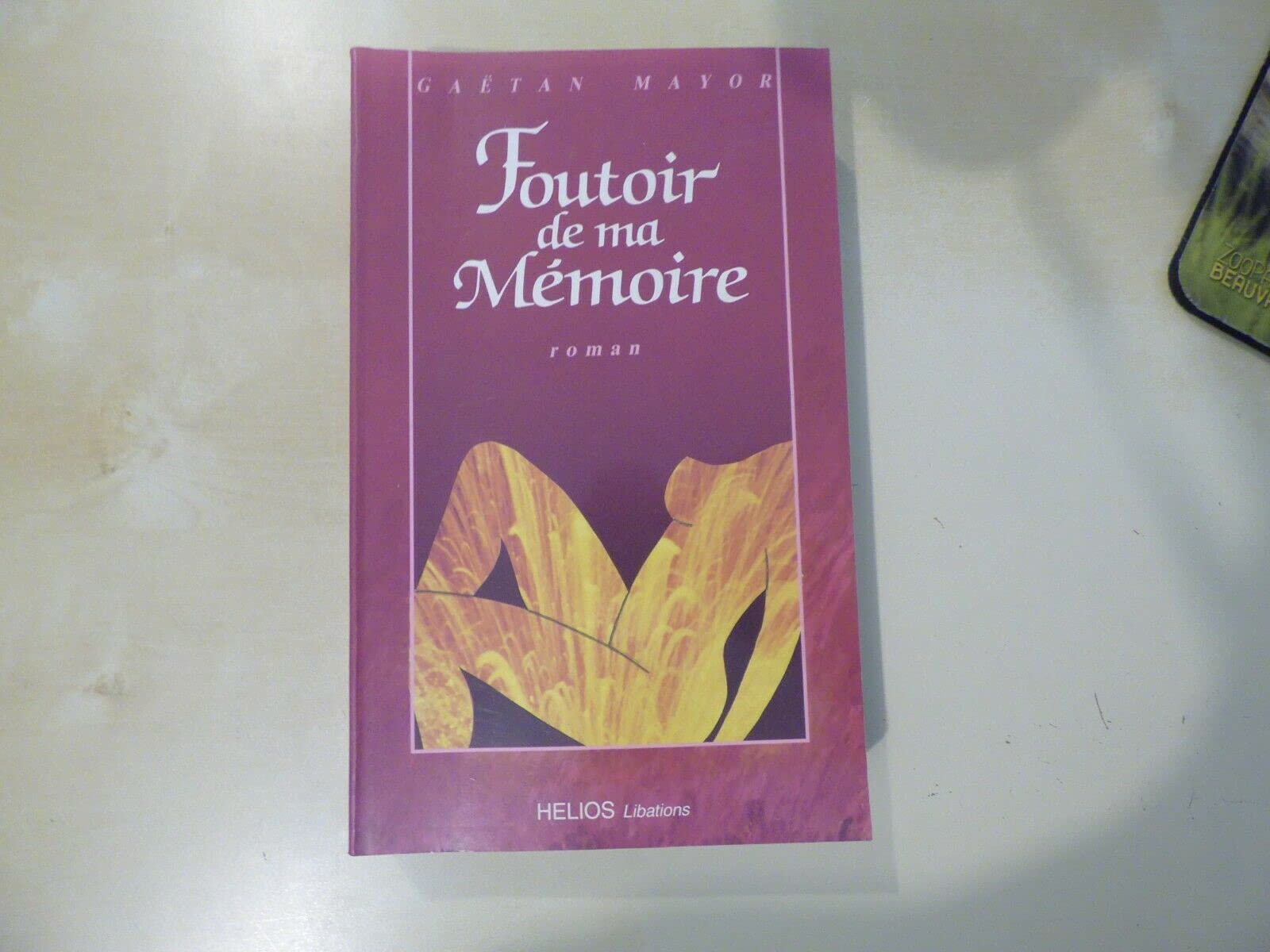 Foutoir de ma mémoire book