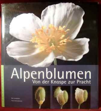Alpenblumen - Von der Knospe zur Pracht Books