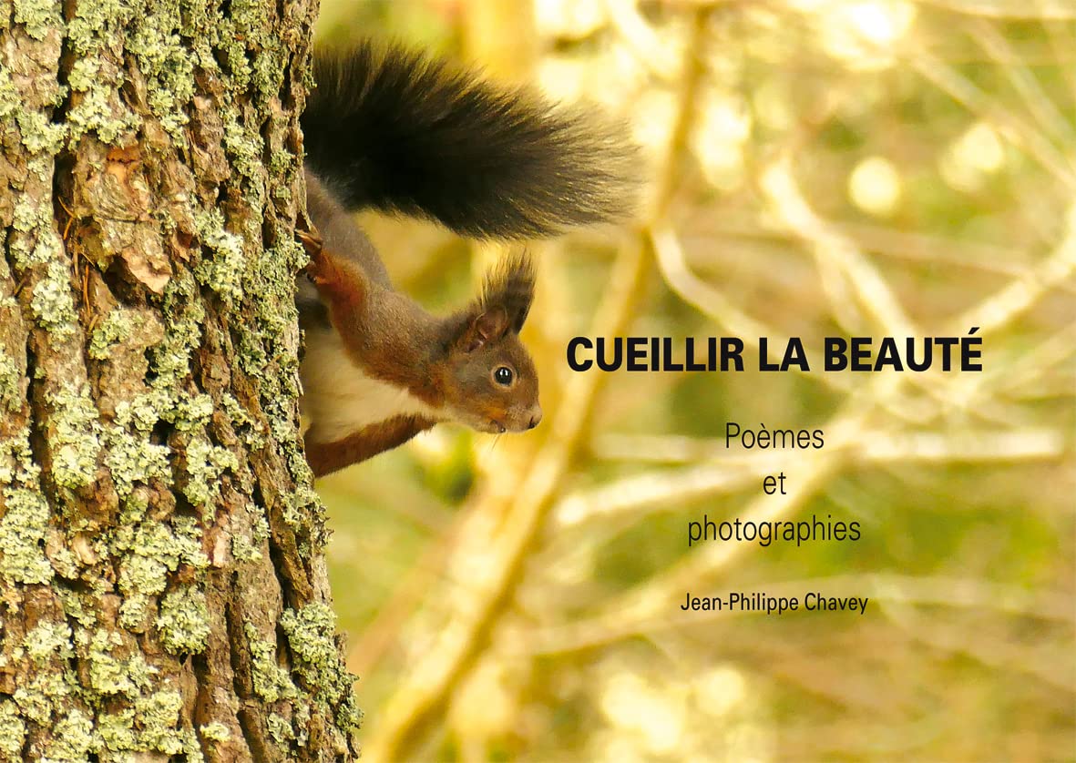 Cueillir la beauté. Poèmes et photographies Film, Art & Culture