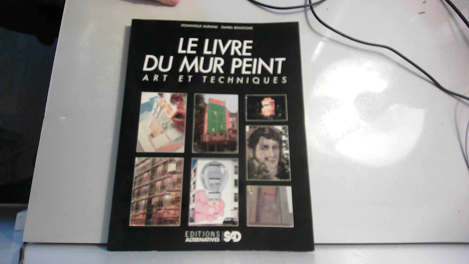 LE LIVRE DU MUR PEINT book
