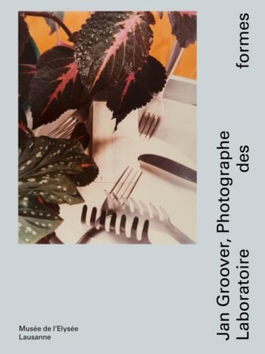 Jan Groover photographe: Laboratoire des formes Film, Art & Culture