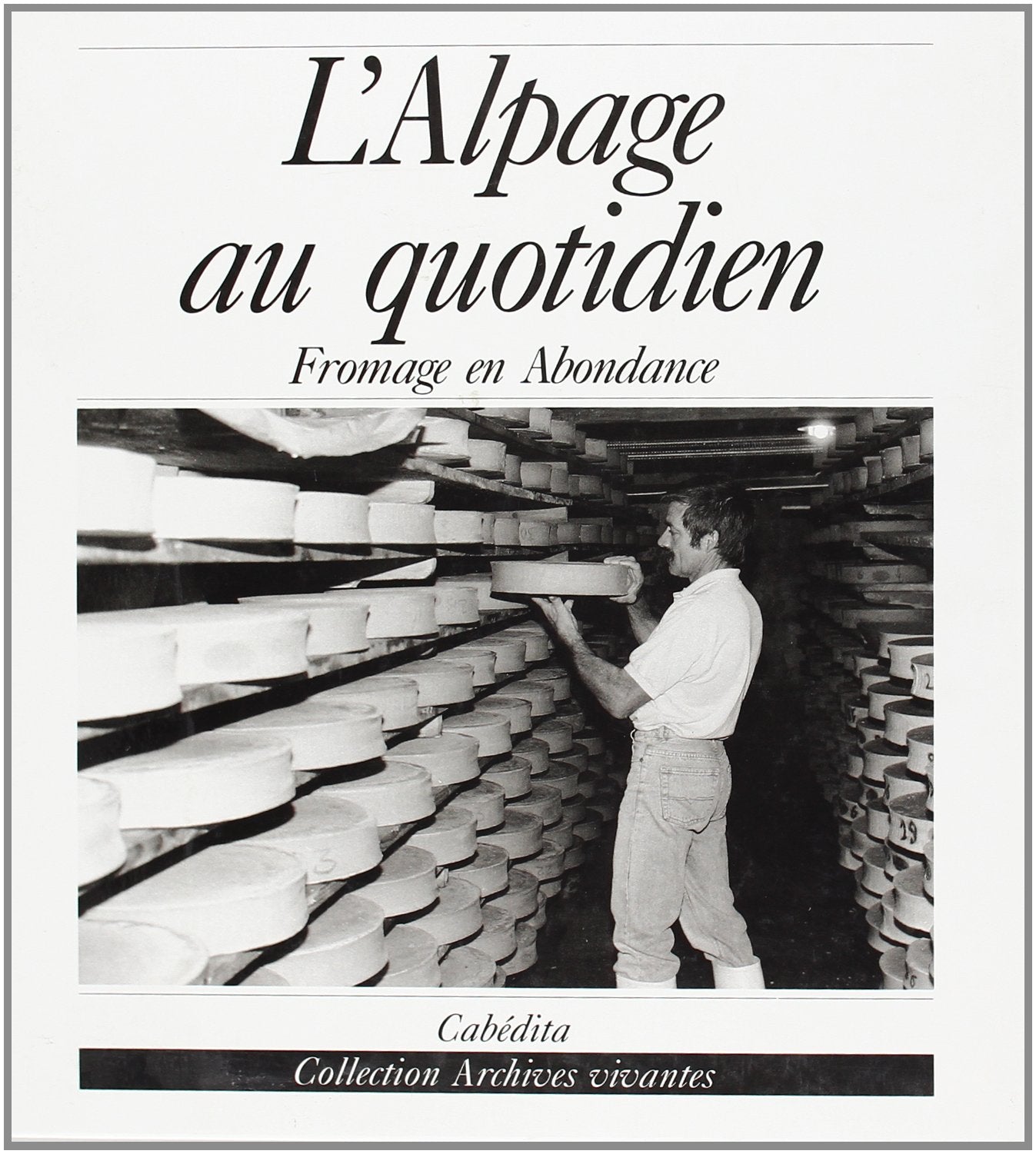 L'alpage au quotidien : Fromage en abondance book