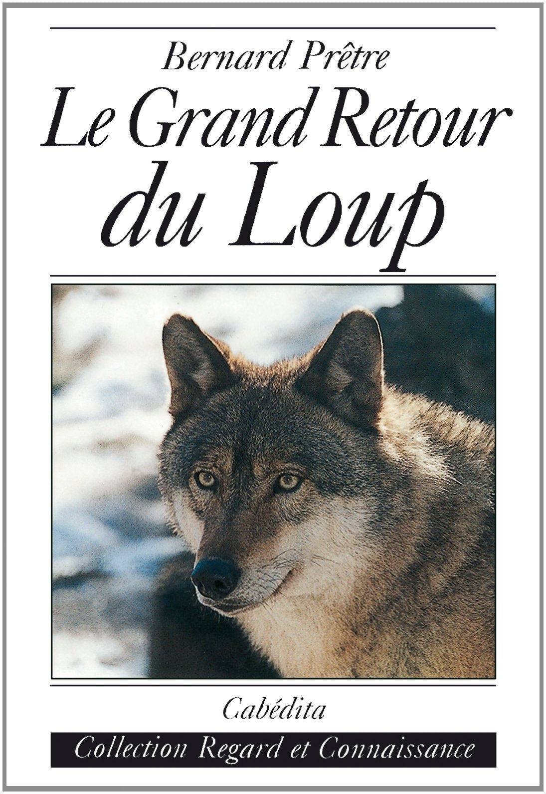 Le grand retour du loup book