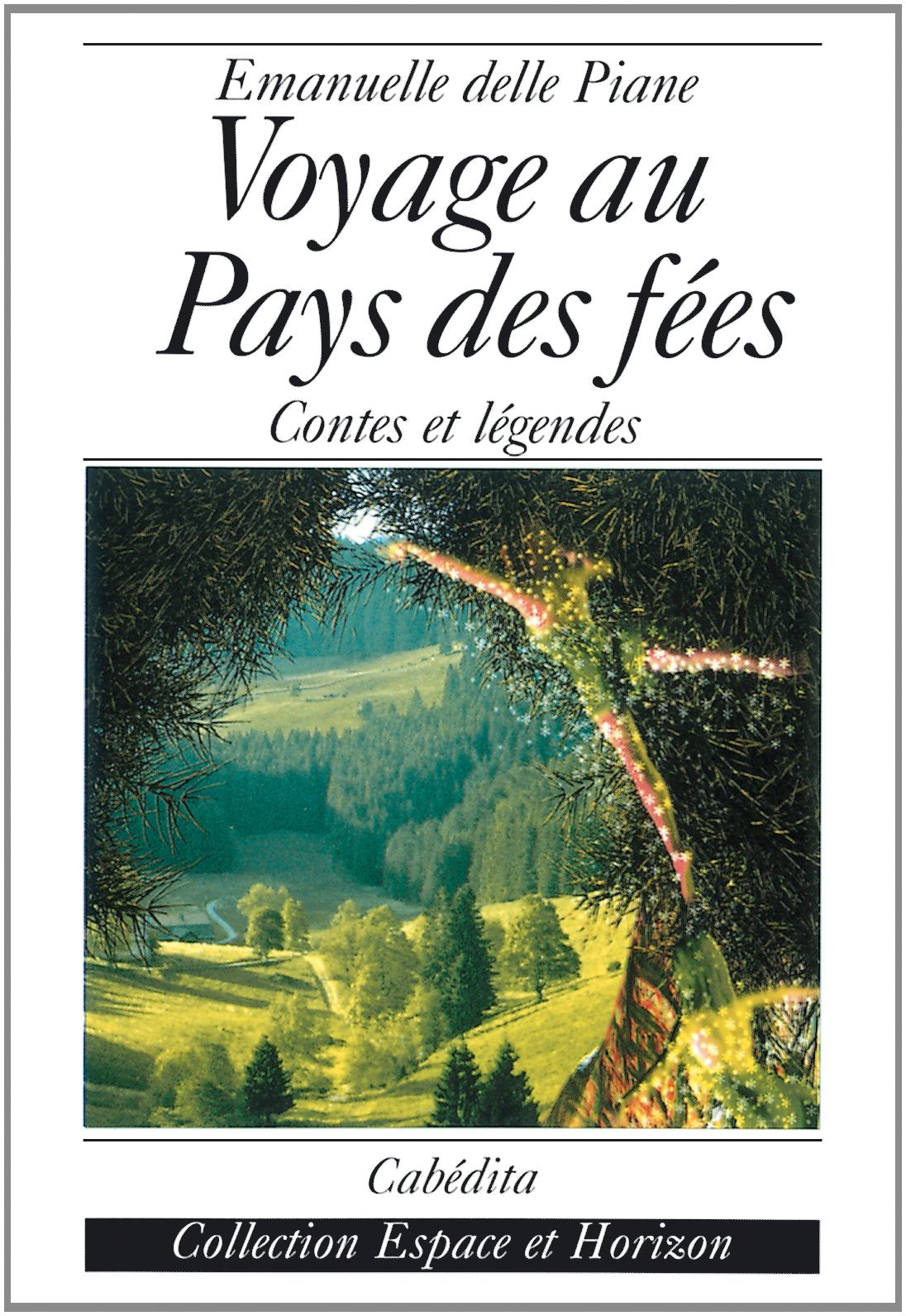 Voyage Au Pays Des Fees, Contes Et Legendes Contemporary literature