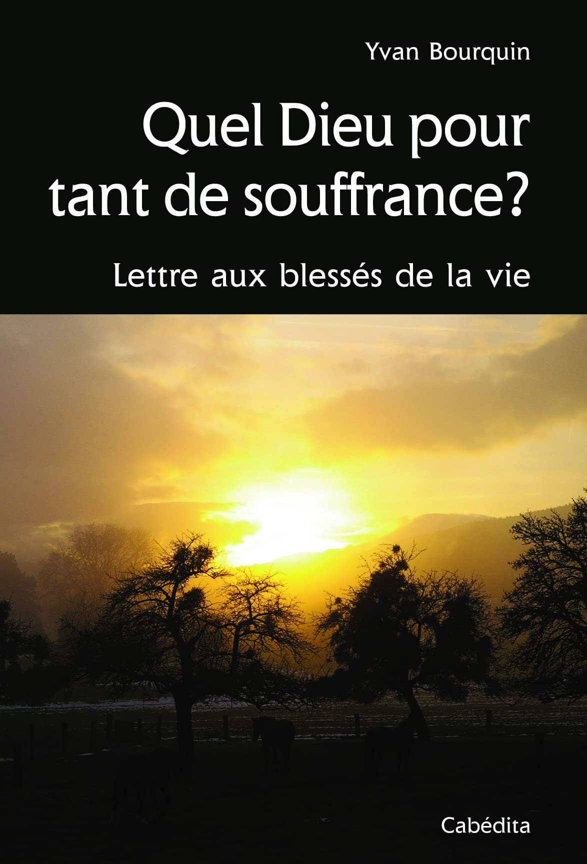 Quel Dieu pour tant de souffrance ?: Lettre aux blessés de la vie book
