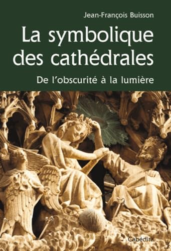 La symbolique des cathédrales: De l'obscurité à la lumière book