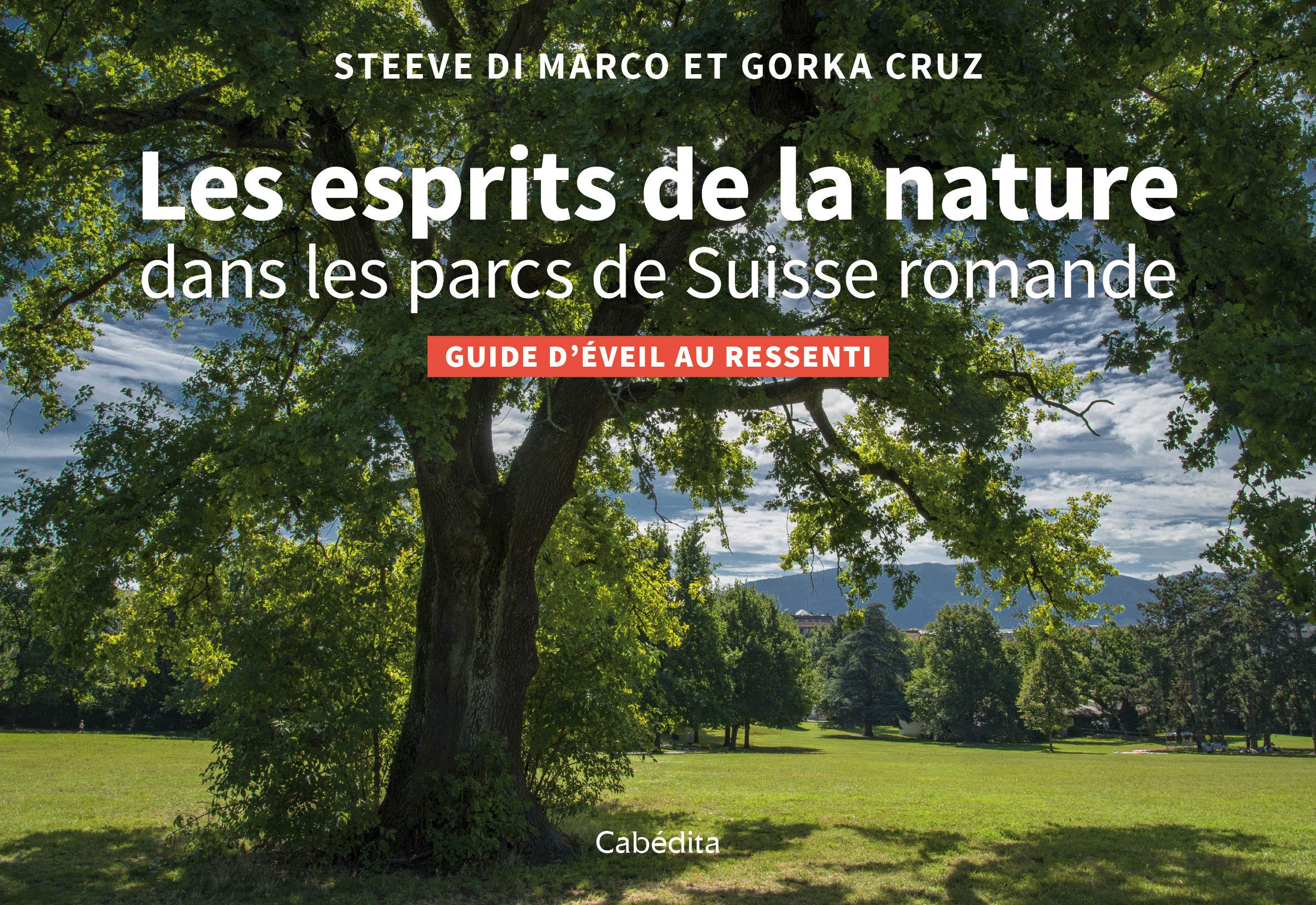 Les esprits de la nature dans les parcs de Suisse romande : Guide d'éveil au ressenti book