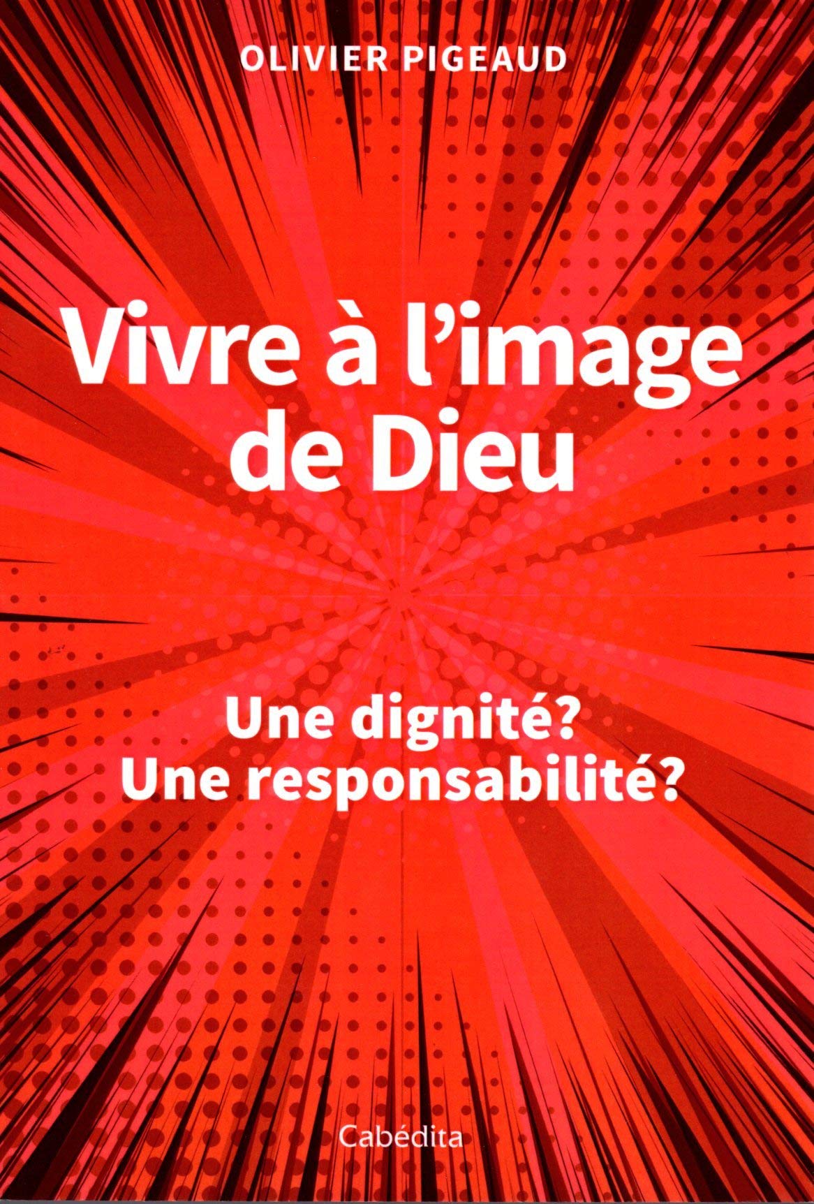 Vivre à l'image de Dieu - Une dignité? Une responsabilité? book