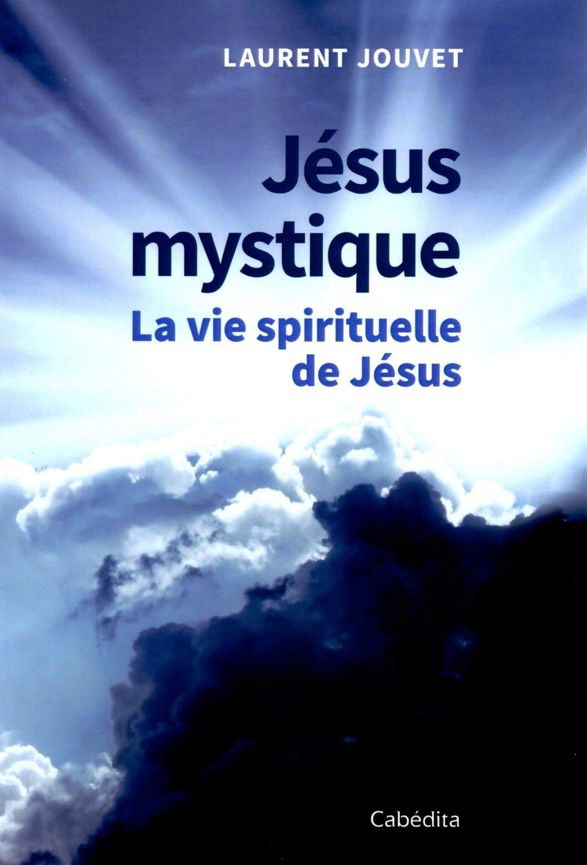 Jésus mystique - La vie spirituelle de Jésus Contemporary literature
