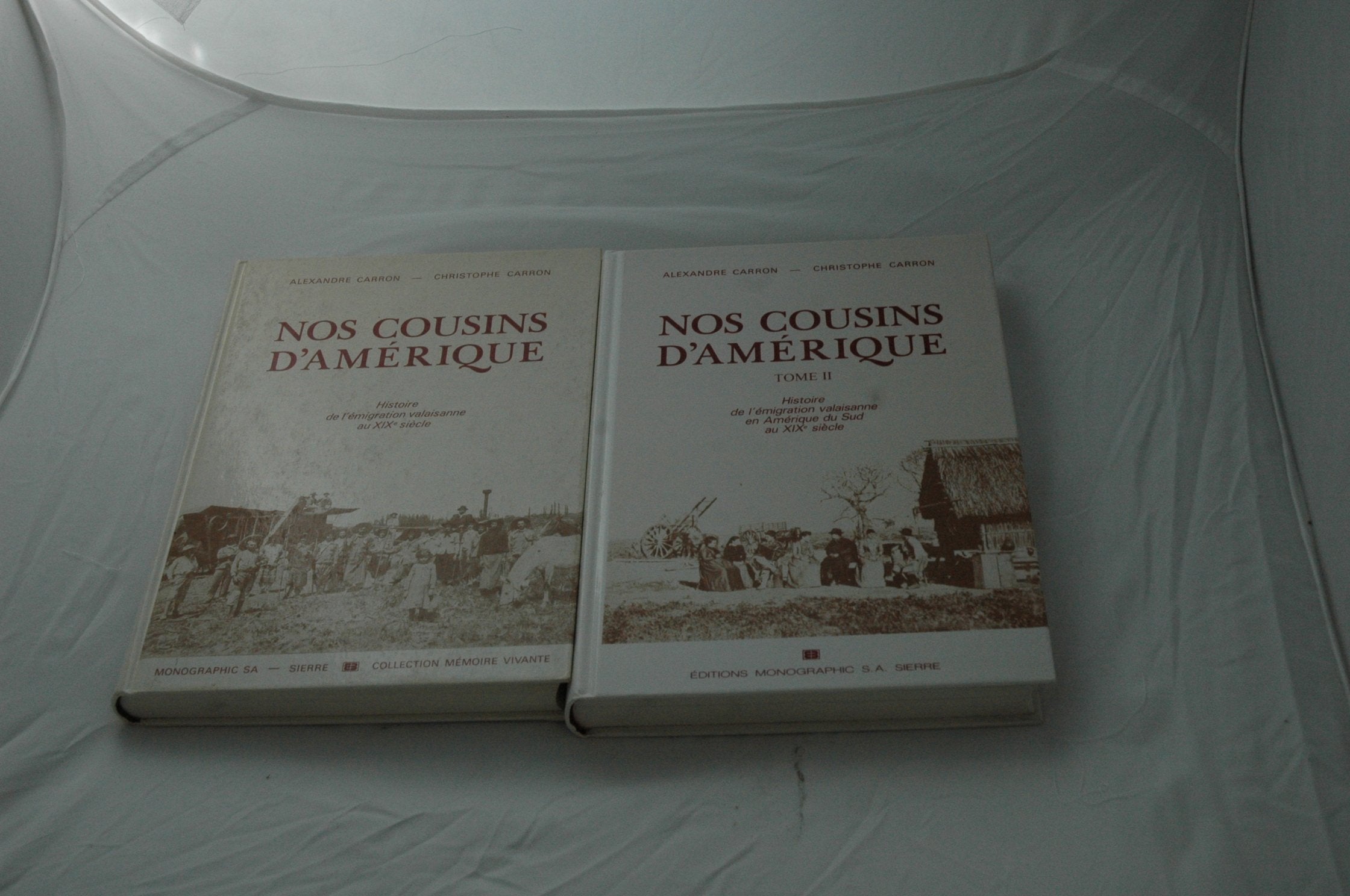 nos cousins d'amérique tome1 : histoire de l'immigration valaisanne au 19e siècle tome2: histoire de l'émigration valaisanne en amérique du sud au 19e siècle book