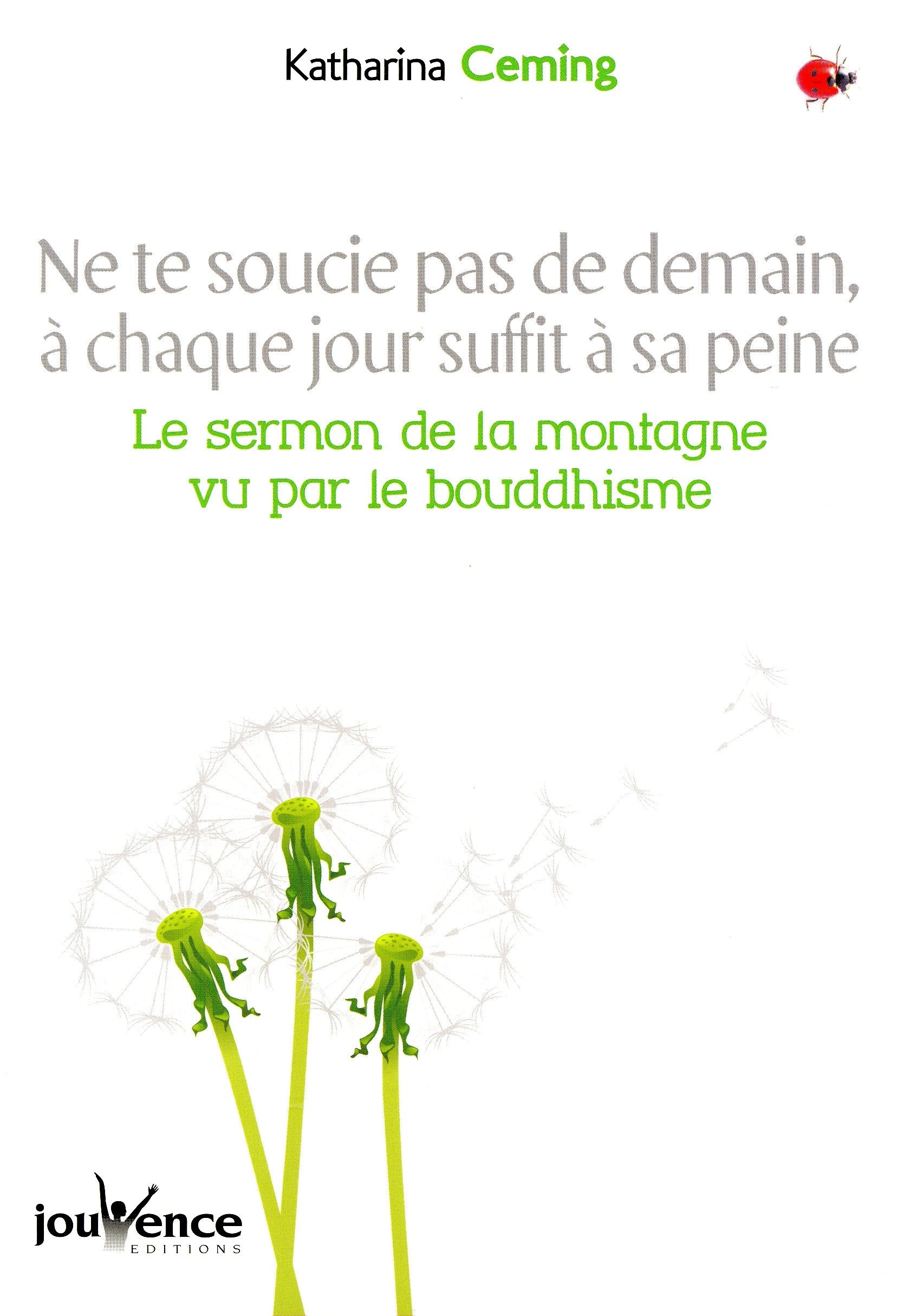 Ne te soucie pas de demain, à chaque jour suffit sa peine: Le sermon de la montagne vu par le bouddhisme Books