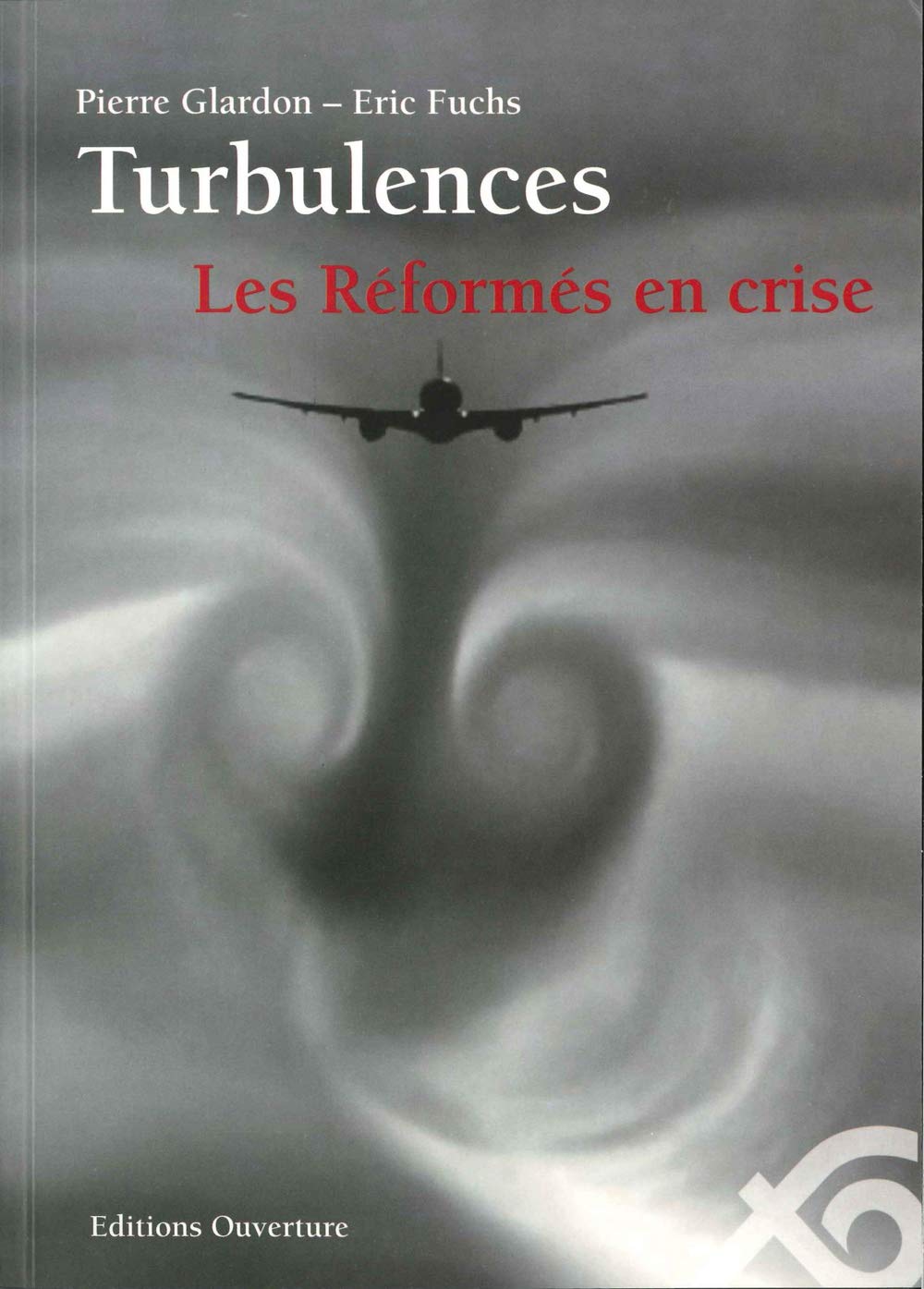 Turbulences: Les Réformés en crise... Analyses et propositions book