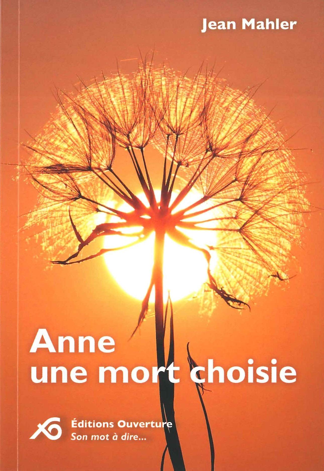 Anne une mort choisie book
