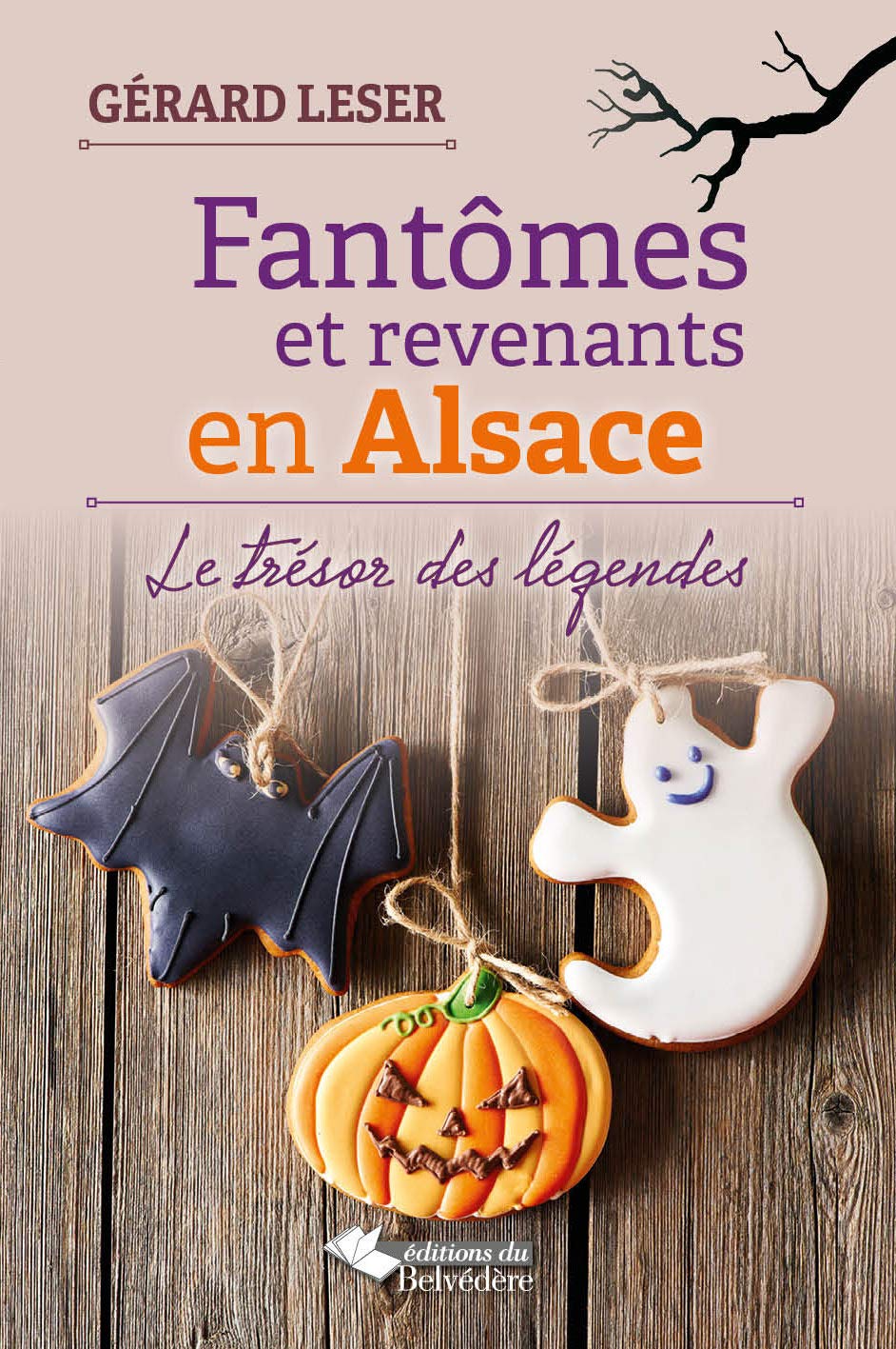 Fantomes et revenants en Alsace book