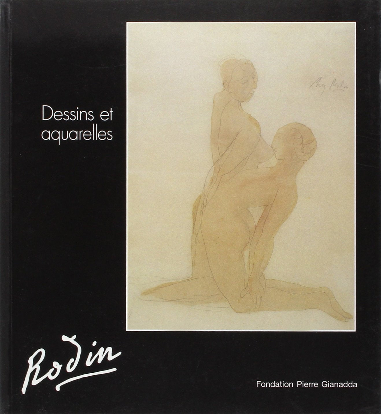 Auguste Rodin. Dessins et aquarelles: des collections suisses et du Musée Rodin Contemporary literature