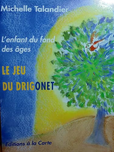 L'enfant du fond des âges ou Le jeu du drigonet book