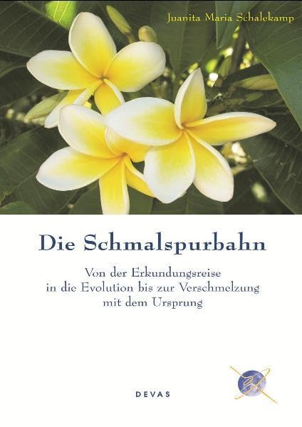 Die Schmalspurbahn: Von der Erkundungsreise in die Evolution bis zur Verschmelzung mit dem Ursprung: Von der Erkundungsreise in die Evolution bis zur Verschmelzung mit dem Ursprung. Roman Historical Fiction