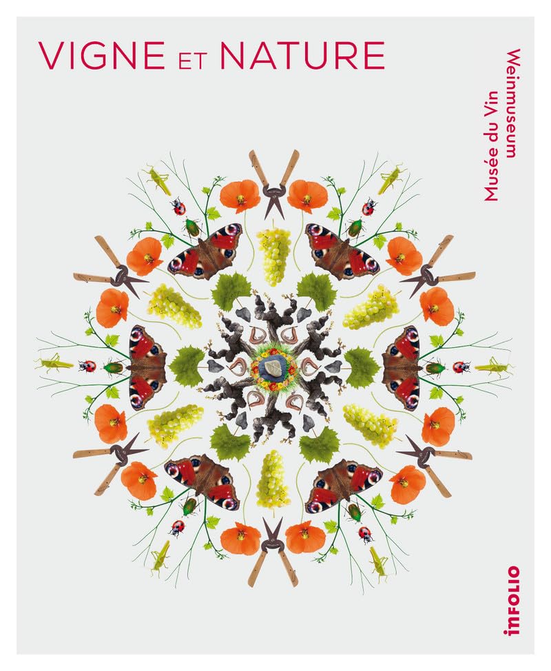 Vigne et nature en Valais - Entre les lignes de la culture Film, Art & Culture
