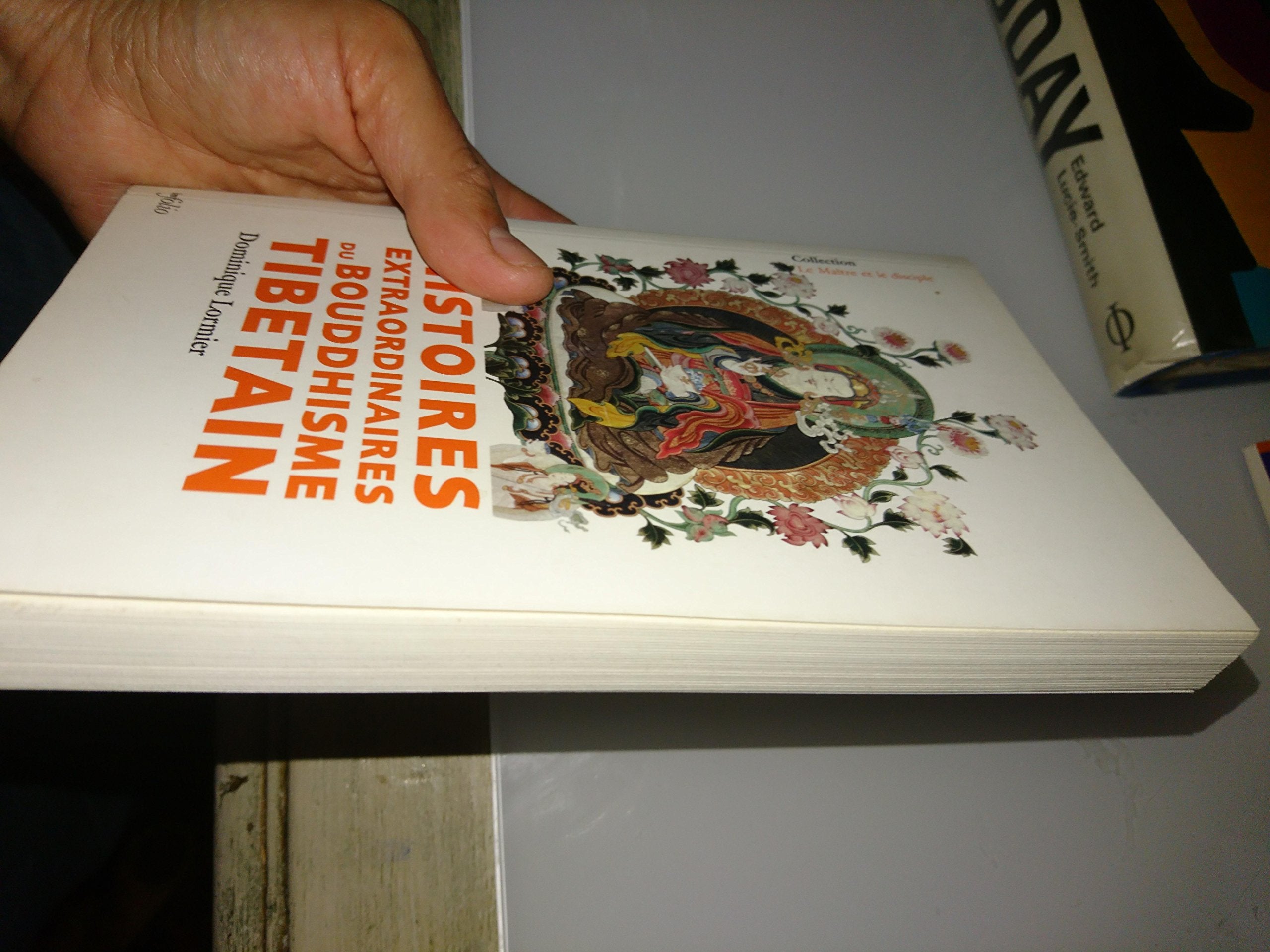 Histoires extraordinaires du Bouddhisme Religion & Esotericism