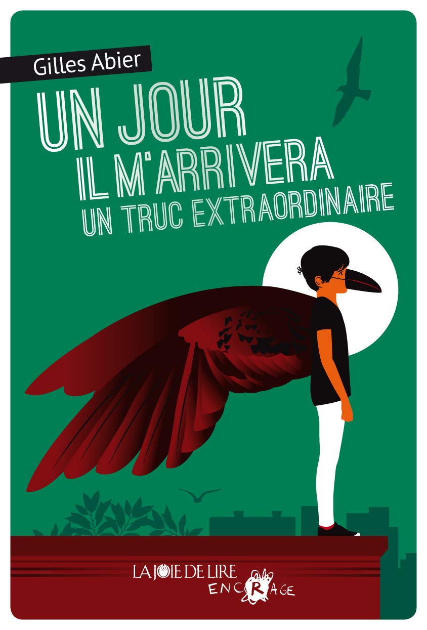 Un jour il m'arrivera un truc extraordinaire book
