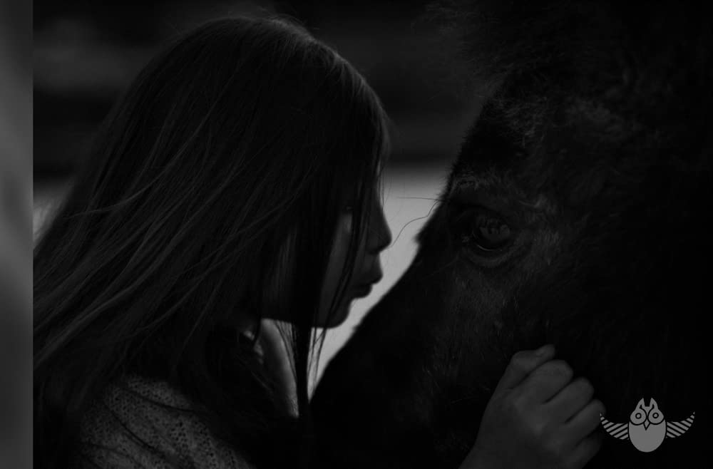 CENTAURES, QUAND NOUS ETIONS ENFANTS ! Fiction