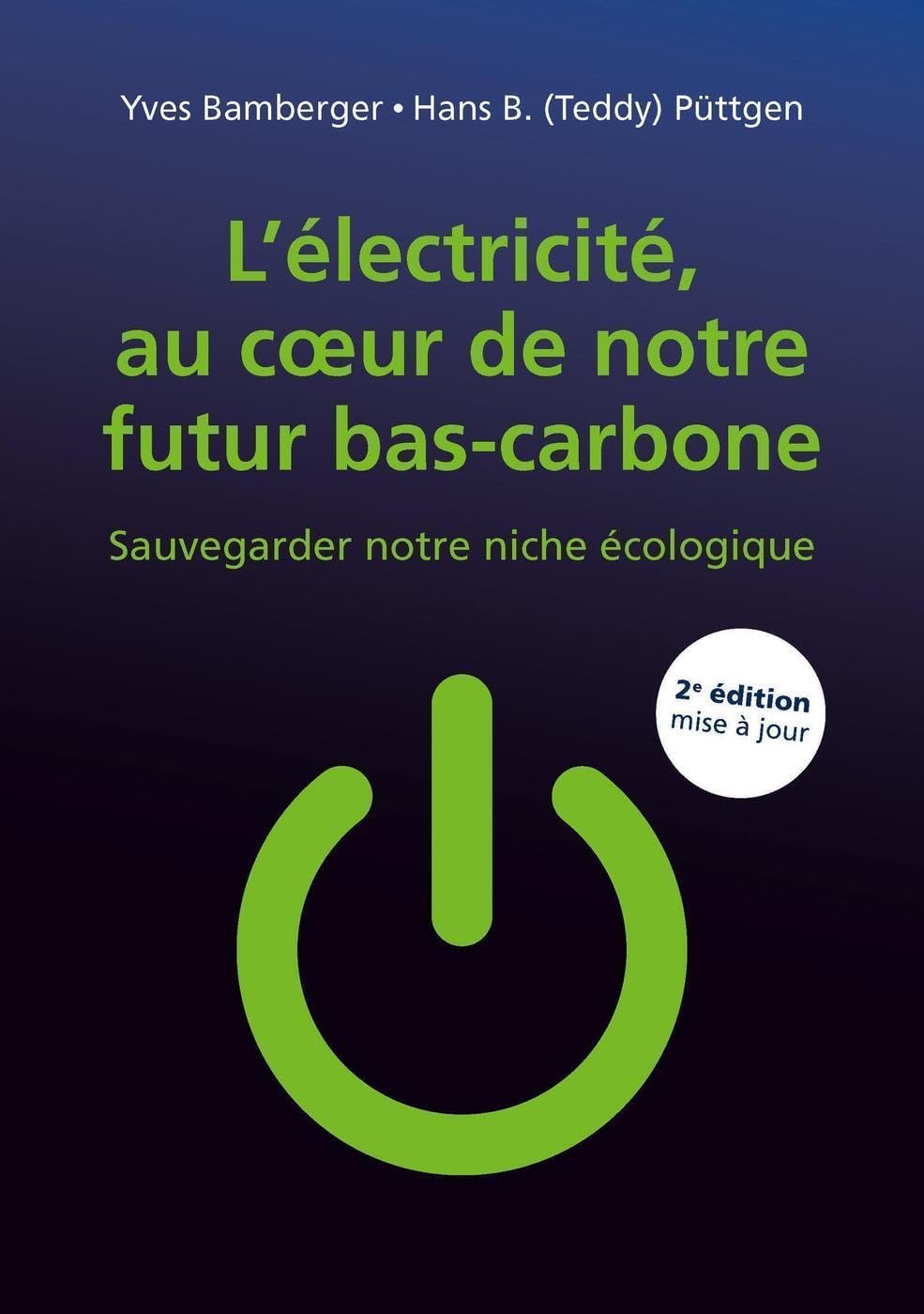 L'électricité, au coeur de notre futur bas-carbone: Sauvegarder notre niche écologique book
