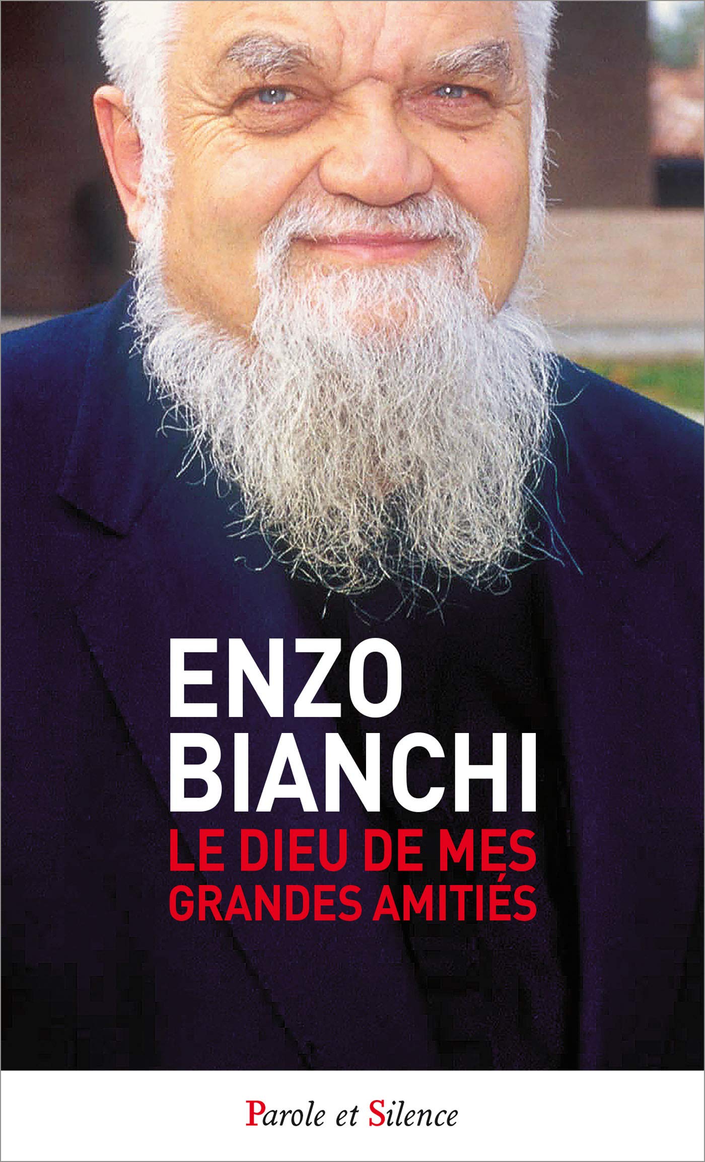 Le dieu de mes grandes amities book