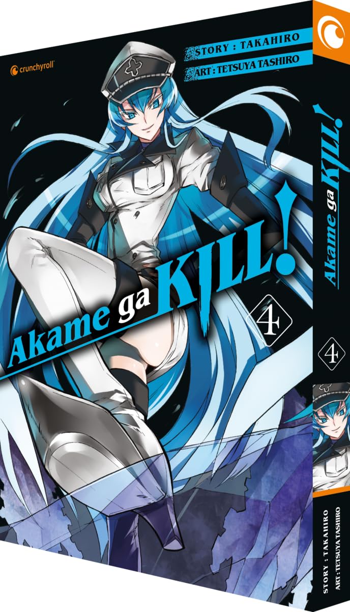 Akame ga KILL! 04 Manga