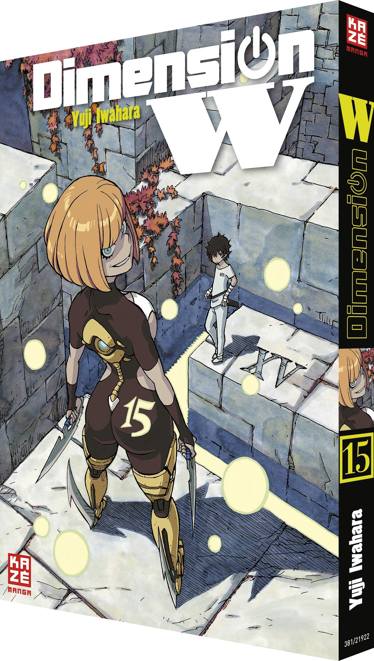 Dimension W 15 Contemporary literature Books