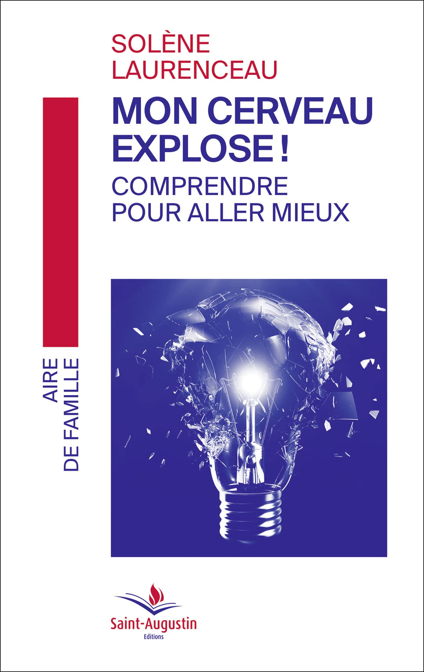 Mon cerveau explose! Comprendre pour aller mieux Books