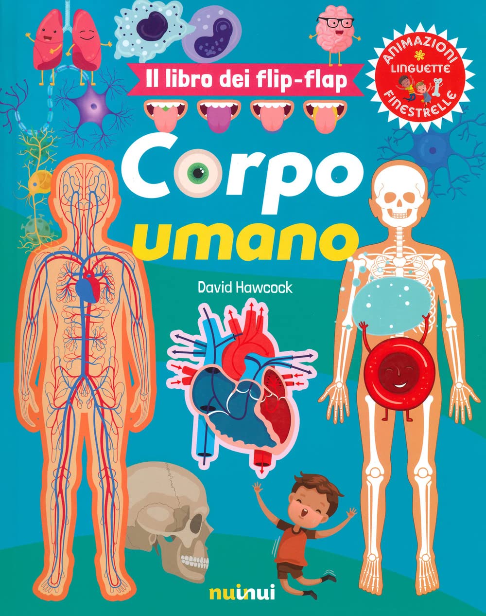 Corpo umano. Il libro dei flip-flap. Ediz. a colori book