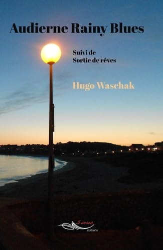 Audierne Rainy Blues: Suivi de Sortie de rêves book