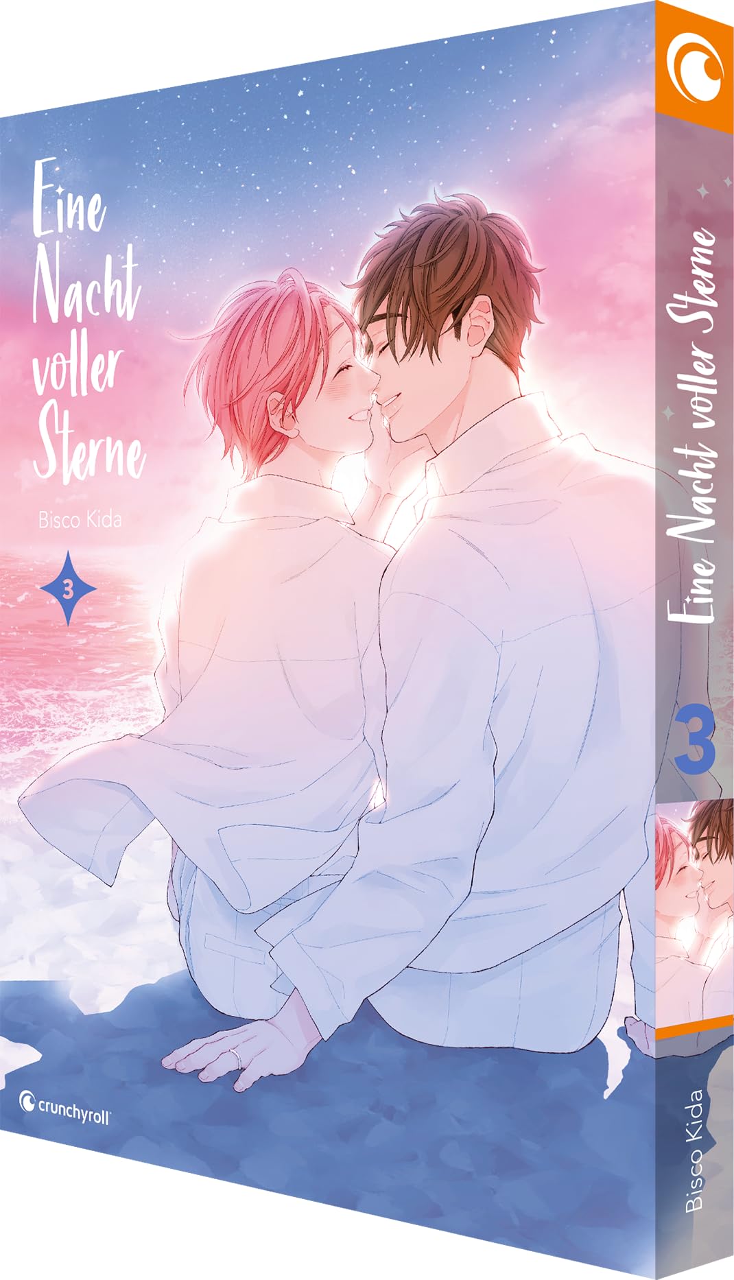 Eine Nacht voller Sterne - Band 3 (Finale) Manga