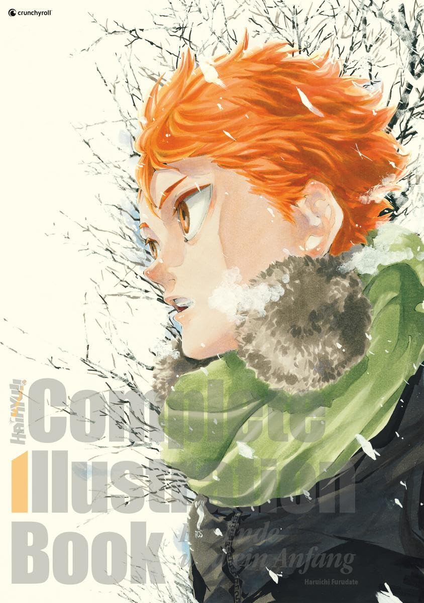 Haikyu!! Complete Illustration Book - Ein Ende und ein Anfang Manga