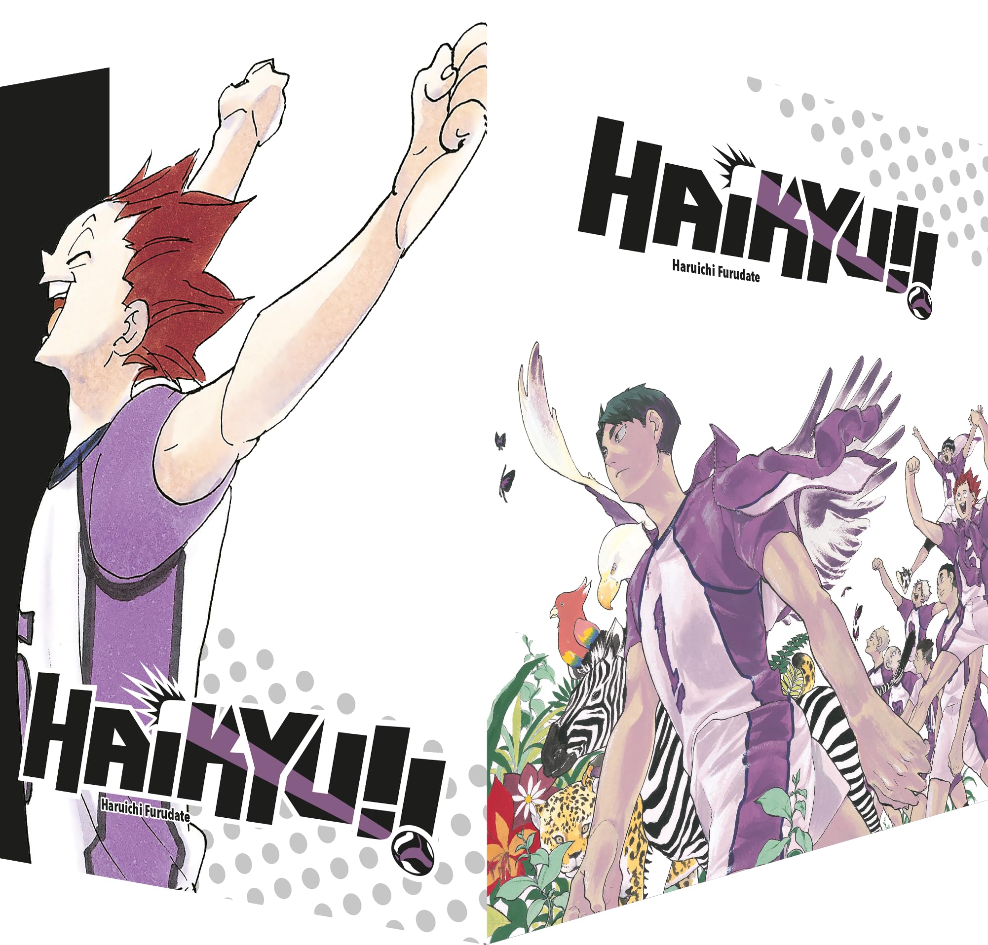 Haikyu!! Sammelbox 4 – Band 31-40 im Schuber Manga